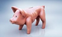 skinny_piggy_bank