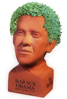 Chia Barak